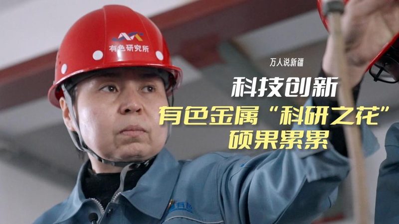 大数据分析方法解析：价格与培训的考量因素